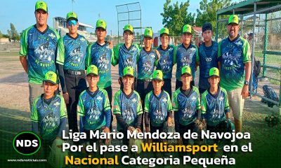 Liga Mario Mendoza de Navojoa
