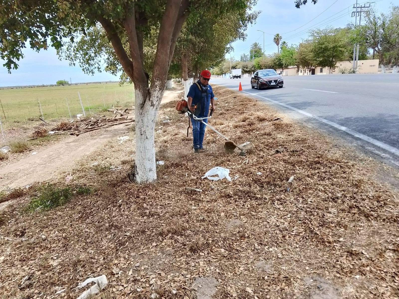 Embellecen Entrada Sur de Etchojoa