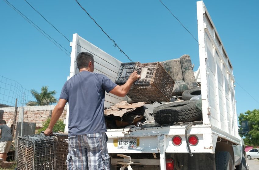 Realizan jornada de descacharre en Huatabampo