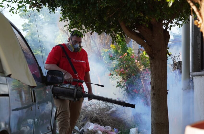 Gobierno de Huatabampo inicia con campaña de fumigación emergente
