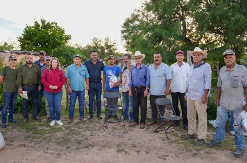 Avanza Cheriwema por comunidades del sur