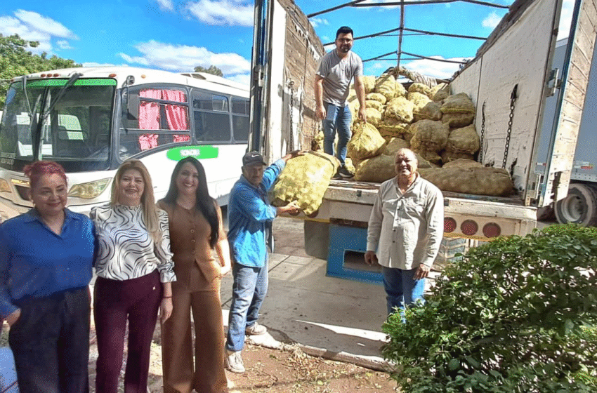 Entregan 15 toneladas de papa al DIF Etchojoa para reforzar apoyo alimentario