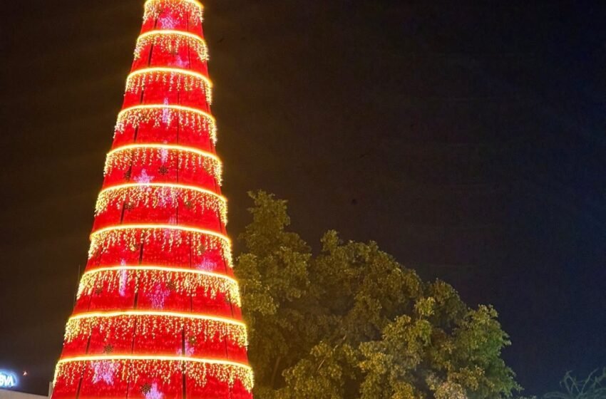 Navojoa enciende su Árbol Navideño y da inicio a la temporada decembrina
