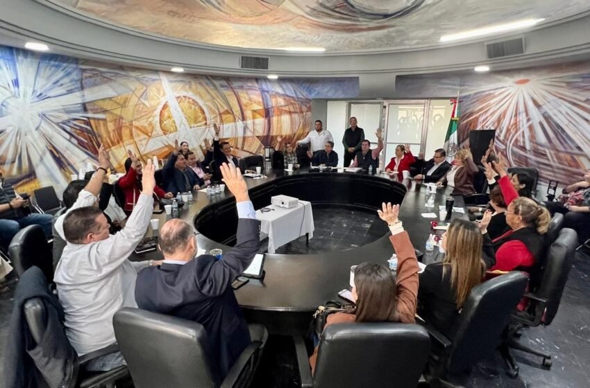 GESTIONA AYUNTAMIENTO PAVIMENTACIÓN DE CAMINOS RURALES